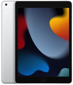Apple iPad (2021) Wi-Fi - фото 14077