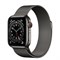 Apple Watch Series 6 GPS Stainless Steel Case - фото 12306